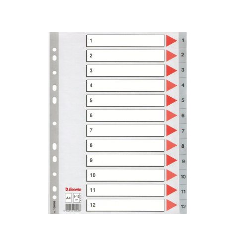 Regiszter műanyag A4, 1-12 Esselte szürke