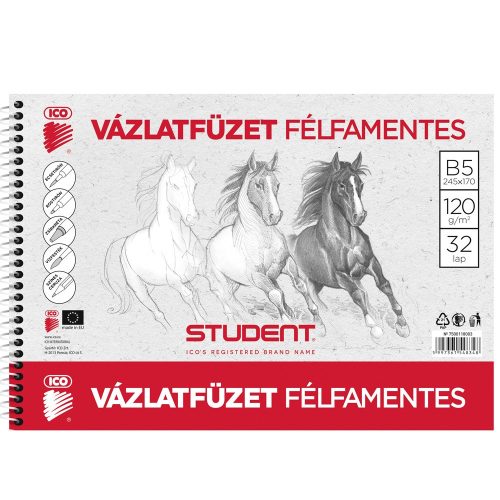 Vázlatfüzet B5 120g. félfamentes Student 