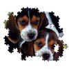 Kutyás Beagles Close Together 500 db-os puzzle Clementoni