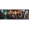 Harry Potter Foe 1000 db-os panorama puzzle Clementoni