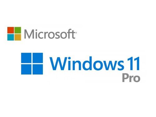 Microsoft Windows 11 Pro 64-bit HUN operációs rendszer (DVD)