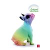 Füzet Pigna Animal Rainbow A/4 tűzött 38 lapos vonalas, margós