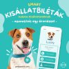 Pet Pass ID  NFC Okosbiléta kisállatoknak, nyakörvre csatlakoztatható, türkiz, 29 mm